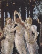 Sandro Botticelli La Primavera (mk39) oil painting on canvas